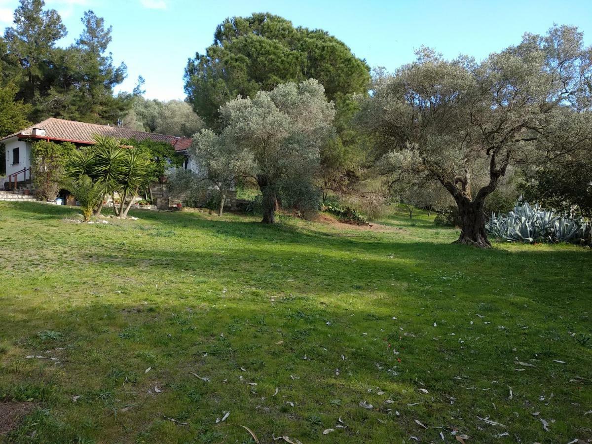 Casa Natura Ammoulianí Eksteriør billede